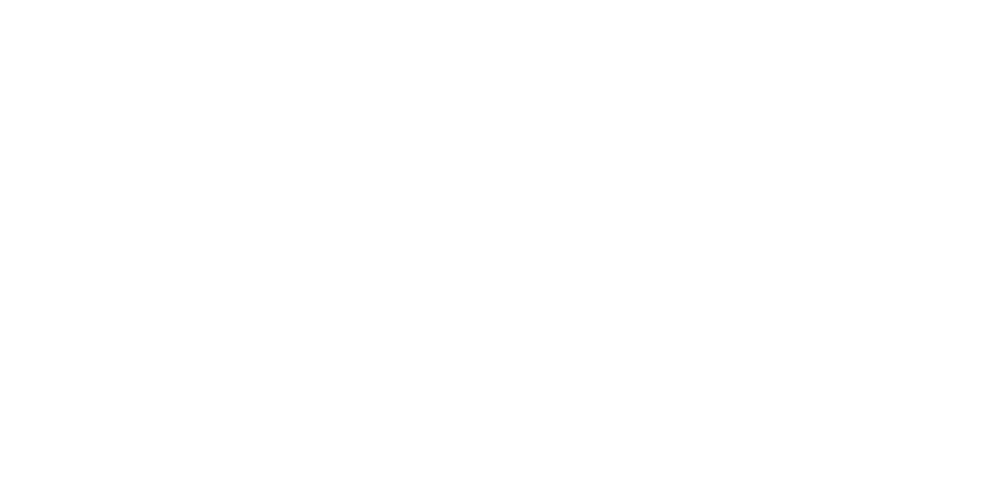 Social Impact Award